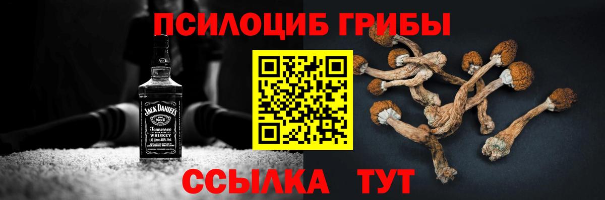 Галлюциногенные грибы Psilocybine cubensis Южно-Сахалинск